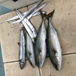 Monster Rush! 釣果