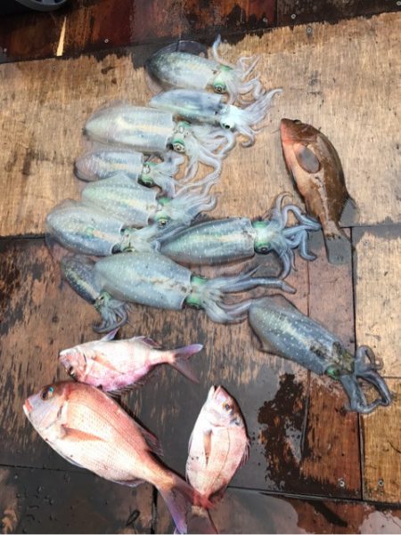 遊漁船メテオ 釣果