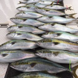 ビッグファイター 釣果