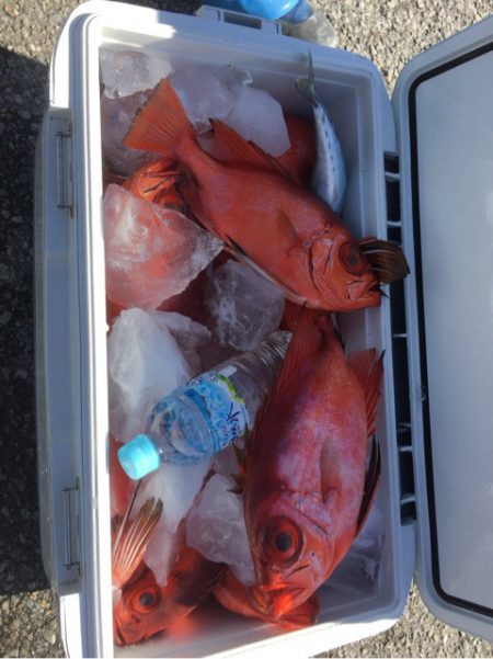 敷嶋丸 釣果