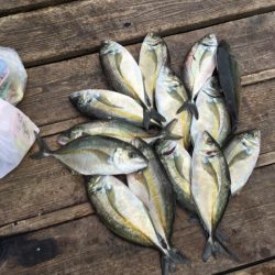 釣り堀水宝 釣果