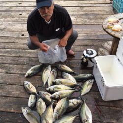 釣り堀水宝 釣果