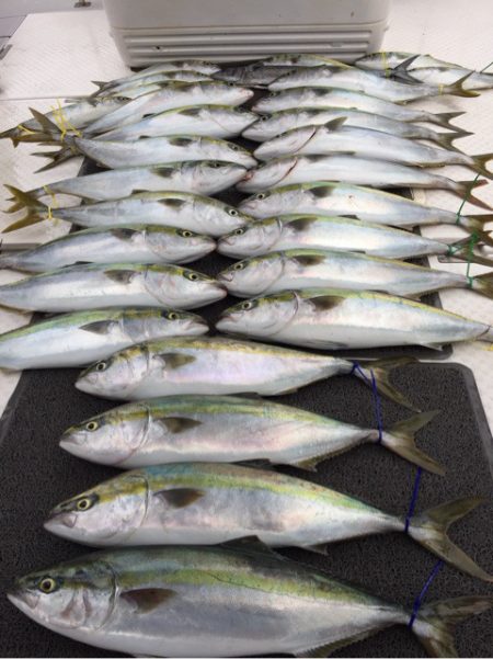 ビッグファイター 釣果