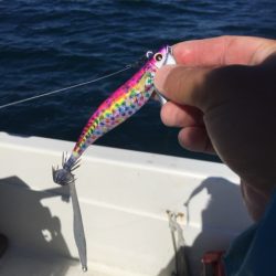 「LaGooN」蒼陽丸 日和号 釣果