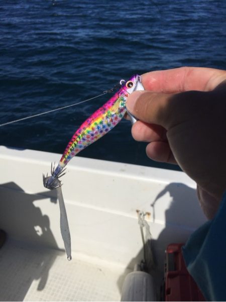 「LaGooN」蒼陽丸 日和号 釣果