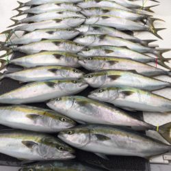 ビッグファイター 釣果