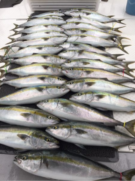 ビッグファイター 釣果