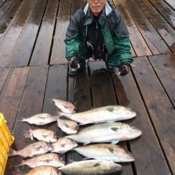 釣り堀水宝 釣果