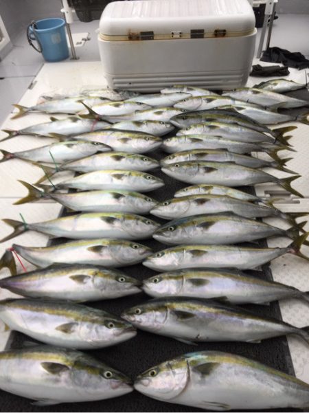 ビッグファイター 釣果