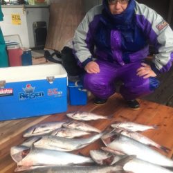 釣り堀水宝 釣果