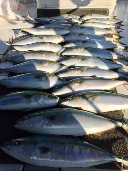 ビッグファイター 釣果