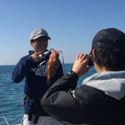 「LaGooN」蒼陽丸 日和号 釣果