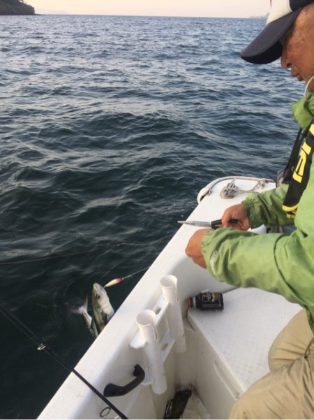 「LaGooN」蒼陽丸 日和号 釣果