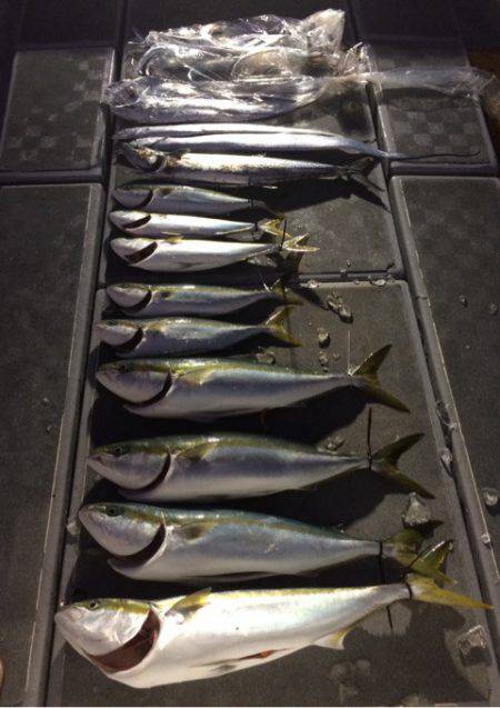 SeaRide(シーライド) 釣果