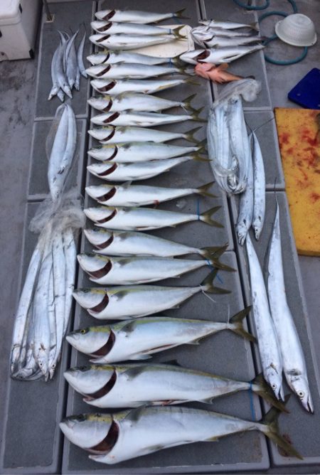 SeaRide(シーライド) 釣果