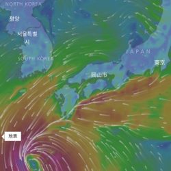 末広丸(熊本) 釣果