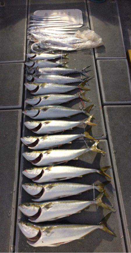 SeaRide(シーライド) 釣果