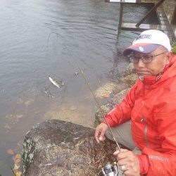 平谷湖フィッシングスポット 釣果