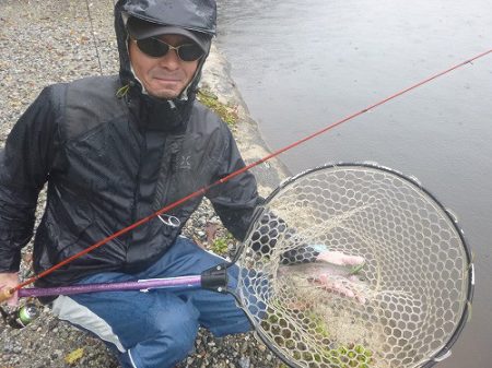 平谷湖フィッシングスポット 釣果