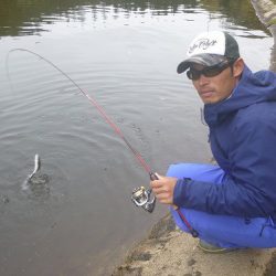 平谷湖フィッシングスポット 釣果