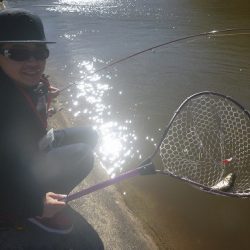 平谷湖フィッシングスポット 釣果