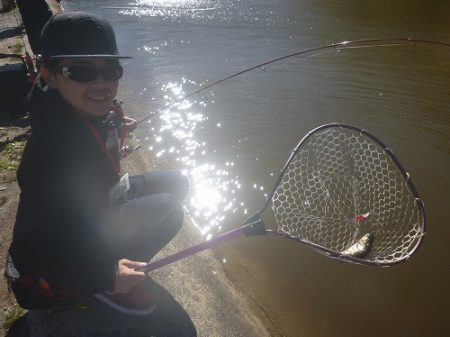 平谷湖フィッシングスポット 釣果