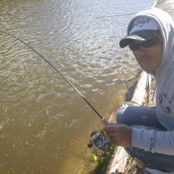 平谷湖フィッシングスポット 釣果