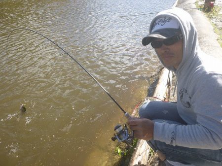 平谷湖フィッシングスポット 釣果