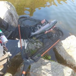 平谷湖フィッシングスポット 釣果