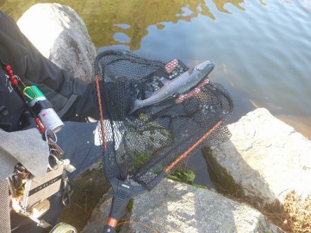 平谷湖フィッシングスポット 釣果