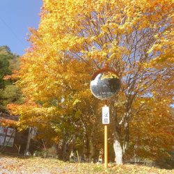 平谷湖フィッシングスポット 釣果