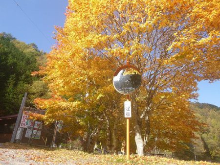 平谷湖フィッシングスポット 釣果
