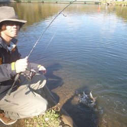 平谷湖フィッシングスポット 釣果