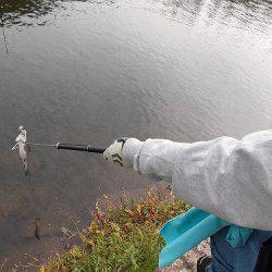 平谷湖フィッシングスポット 釣果