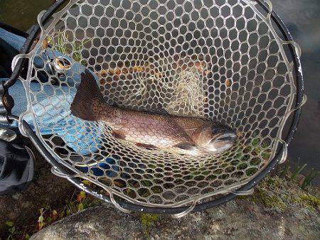 平谷湖フィッシングスポット 釣果