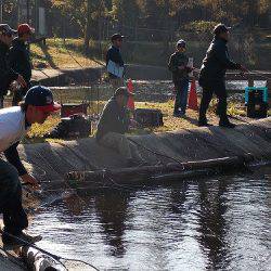 平谷湖フィッシングスポット 釣果