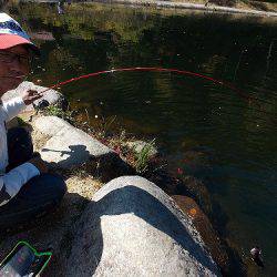 平谷湖フィッシングスポット 釣果