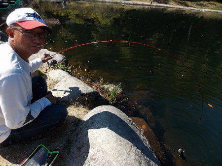 平谷湖フィッシングスポット 釣果