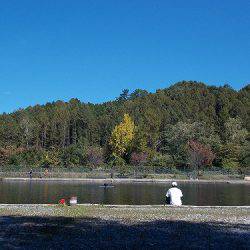 平谷湖フィッシングスポット 釣果