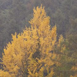 平谷湖フィッシングスポット 釣果