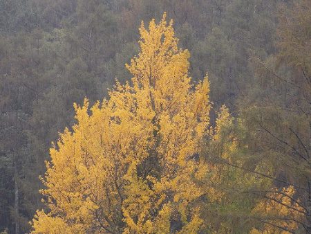 平谷湖フィッシングスポット 釣果