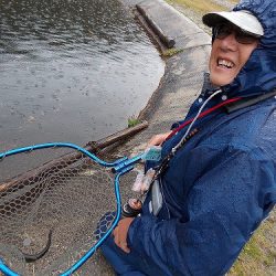 平谷湖フィッシングスポット 釣果