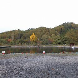 平谷湖フィッシングスポット 釣果
