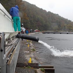 平谷湖フィッシングスポット 釣果
