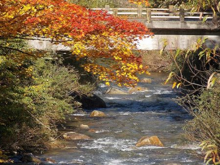 平谷湖フィッシングスポット 釣果