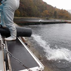 平谷湖フィッシングスポット 釣果