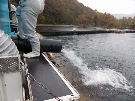 平谷湖フィッシングスポット 釣果