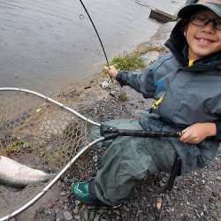 平谷湖フィッシングスポット 釣果
