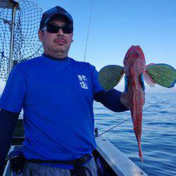 Big One　ビッグワン 釣果