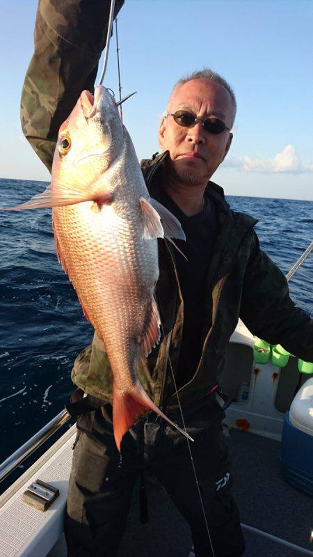 ARCADIAⅡ (アルカディアⅡ) 釣果